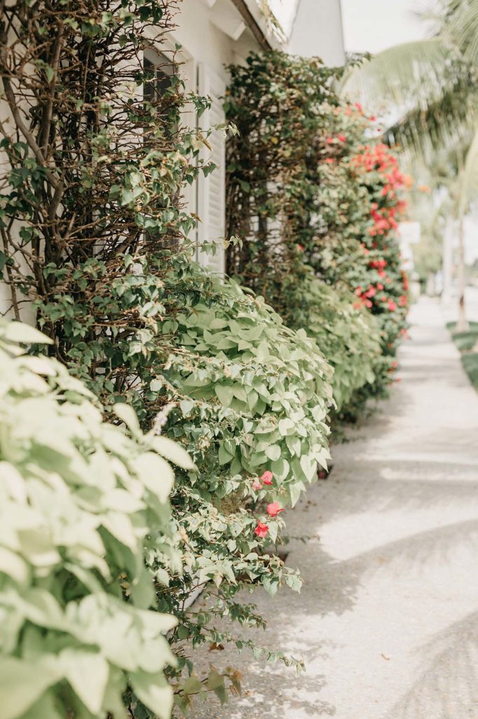 Best Beaches in America