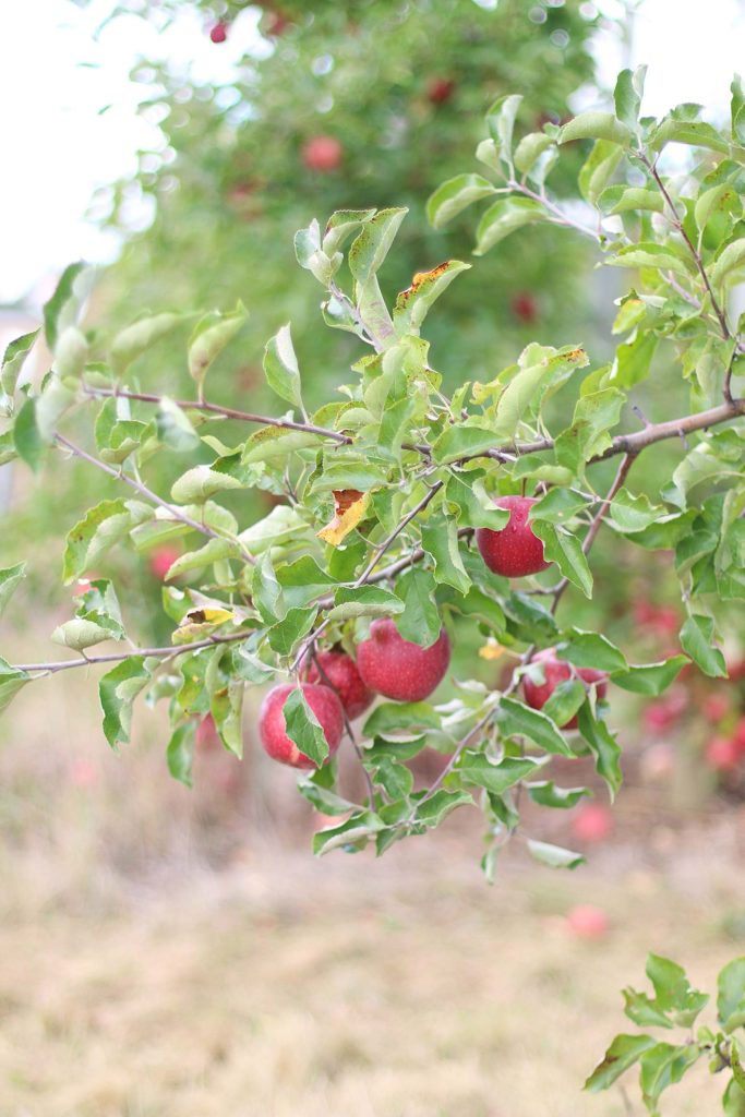 Staying in the word when your routine changes